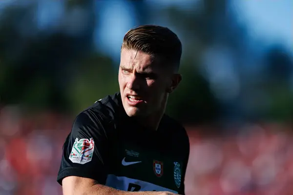 Opinion: Arsenal Should Sign 141-Goal Premier League Striker To Backup Viktor Gyokeres
